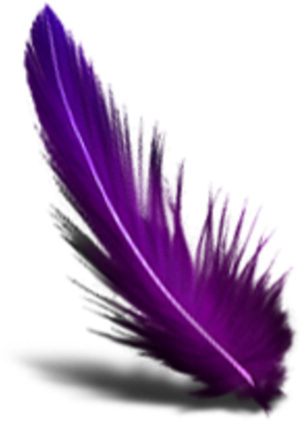 Purple Feather Transparent Background Clipart (600x600), Png Download