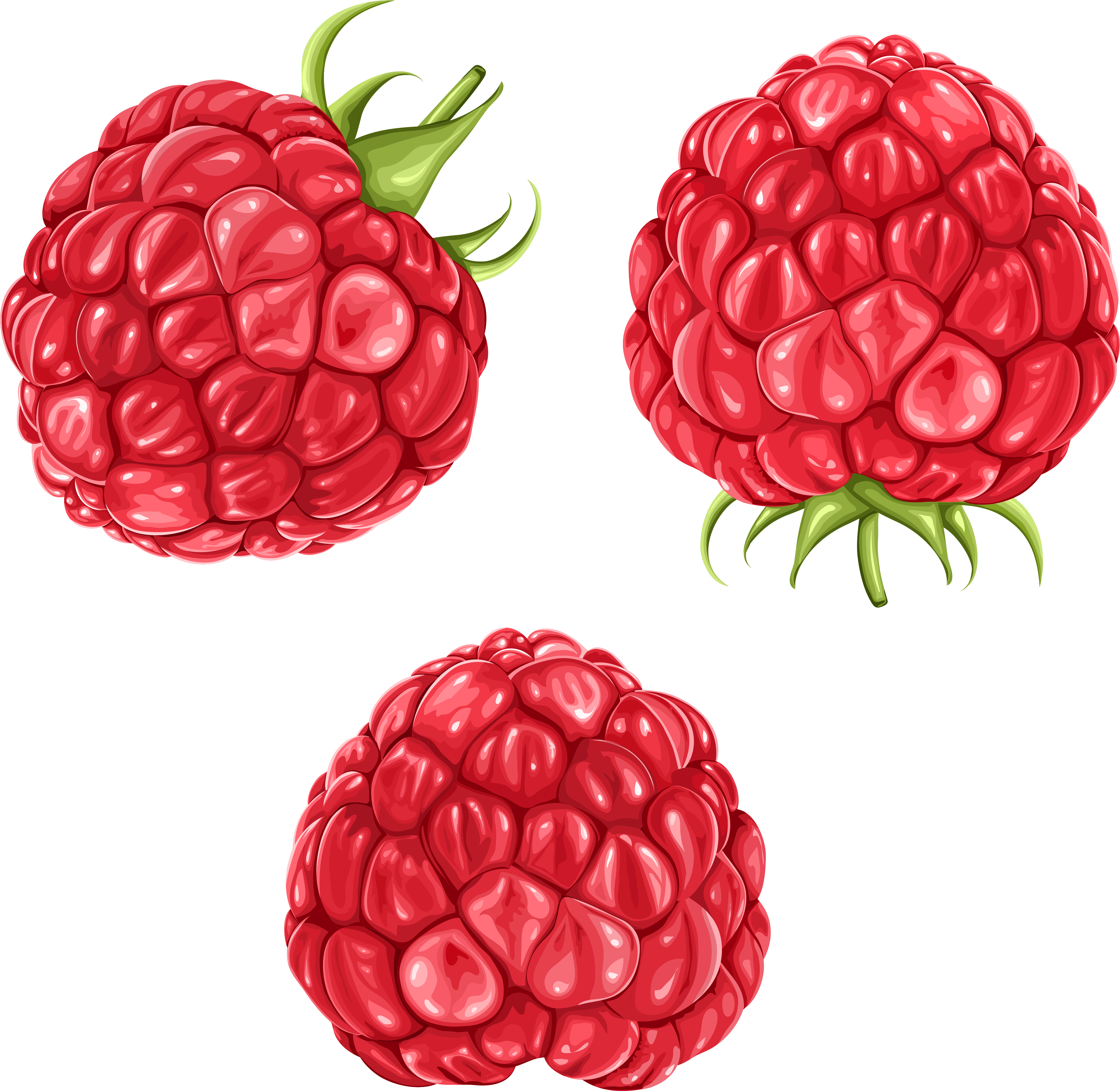 Raspberries Png Clipart Picture - Raspberry Clipart Transparent (5280x4930), Png Download