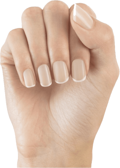 Free Png Nails Png Images Transparent - Elegant Touch Totally Bare Nails Clipart (480x668), Png Download