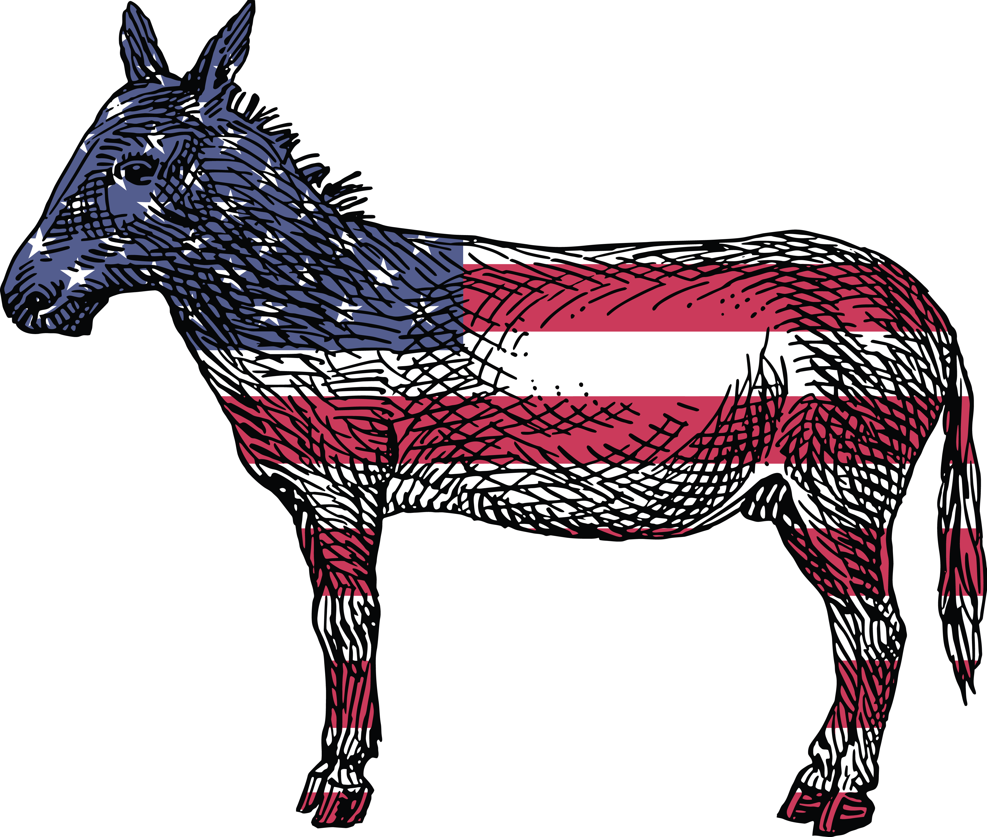 Free Clipart Of A Democratic Donkey - Reasons To Vote For A Democrate Book - Png Download (4000x3390), Png Download