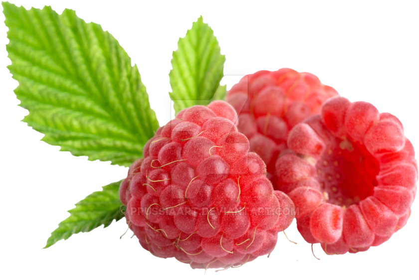 Raspberry Png - Малина Png Clipart (894x894), Png Download