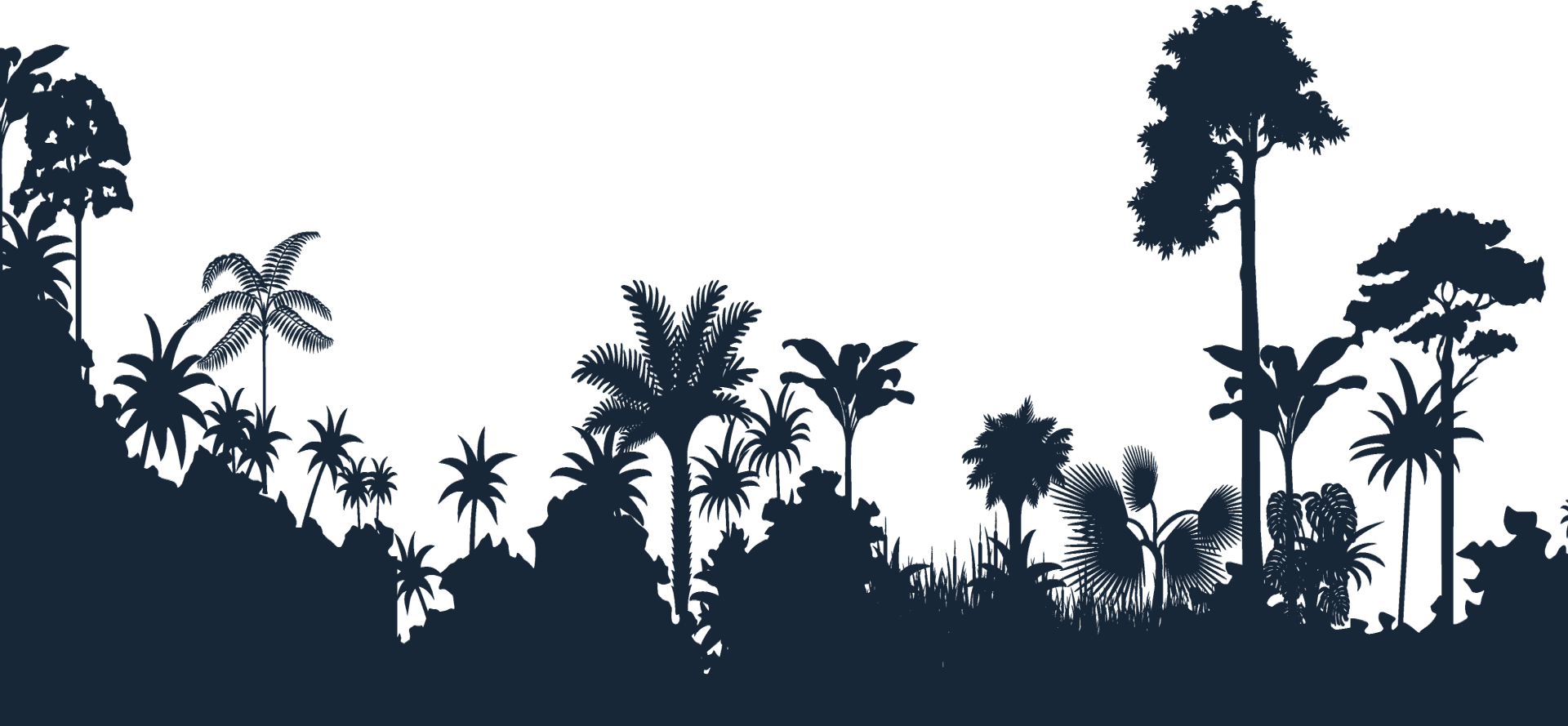 Homepage Main Bg - Jungle Tree Silhouette Png Clipart (1920x889), Png Download