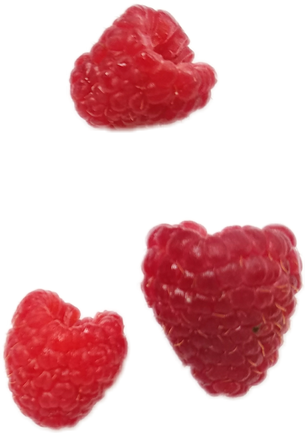 Raspberries Raspberry Png Aestheticpng Nichememe Nichep - Wine Raspberry Clipart (1024x1024), Png Download