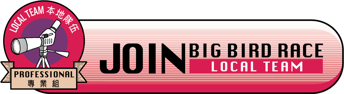 The Big Bird Race - Orange Clipart (1110x304), Png Download