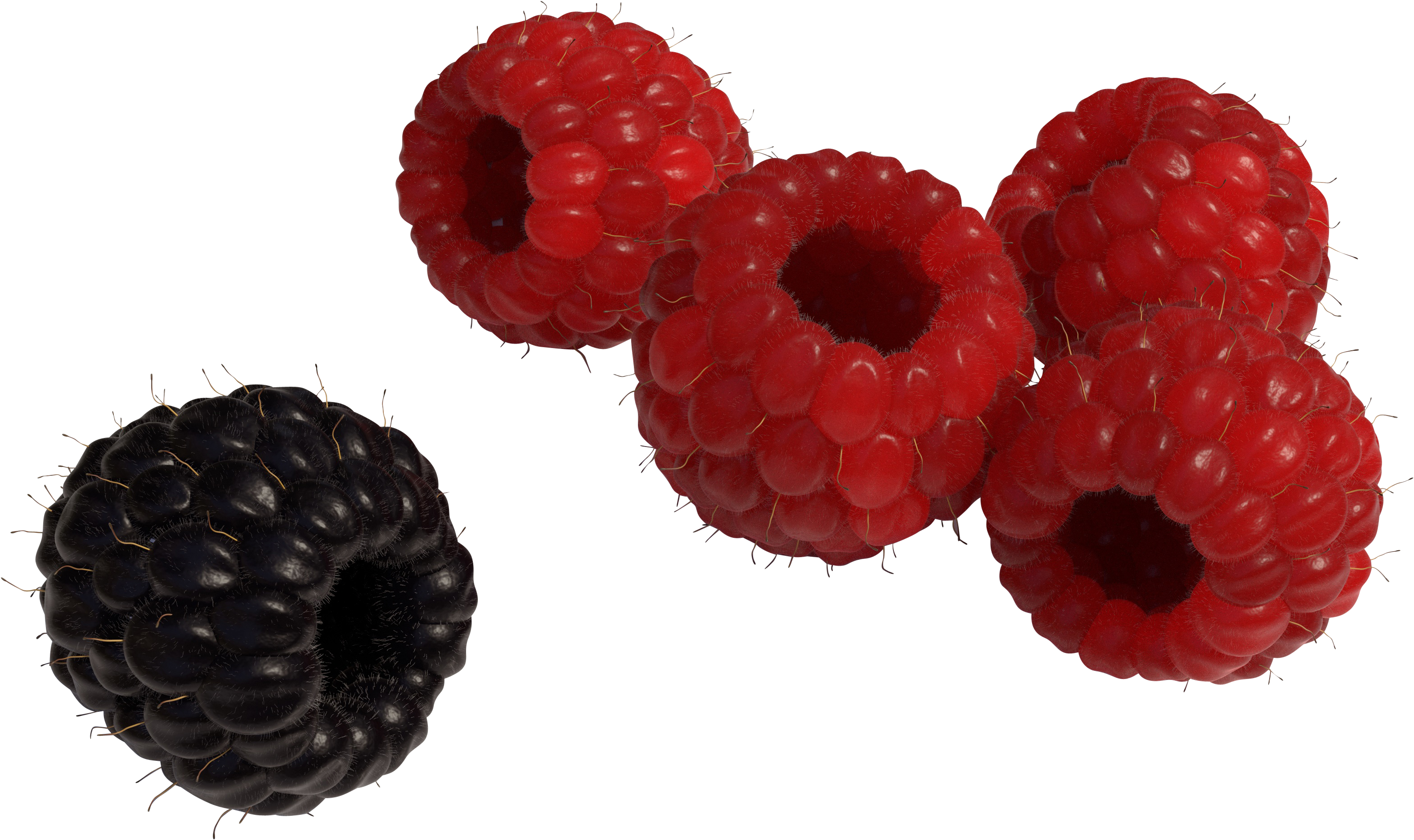 Red And Black Raspberry Png Image Clipart (3840x2160), Png Download