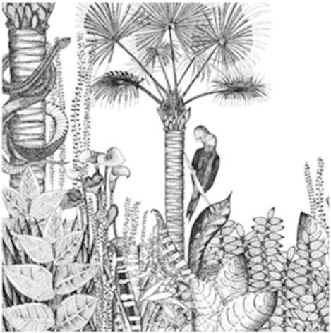 Wallpaper Jungle - Papier Peint Jungle Noir Et Blanc Clipart (600x600), Png Download