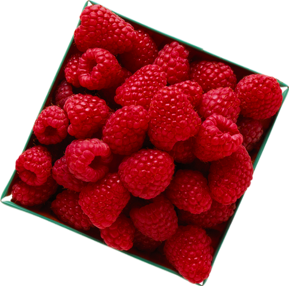 Framboises Png, Tube Fruit - Seedless Fruit Clipart (575x570), Png Download