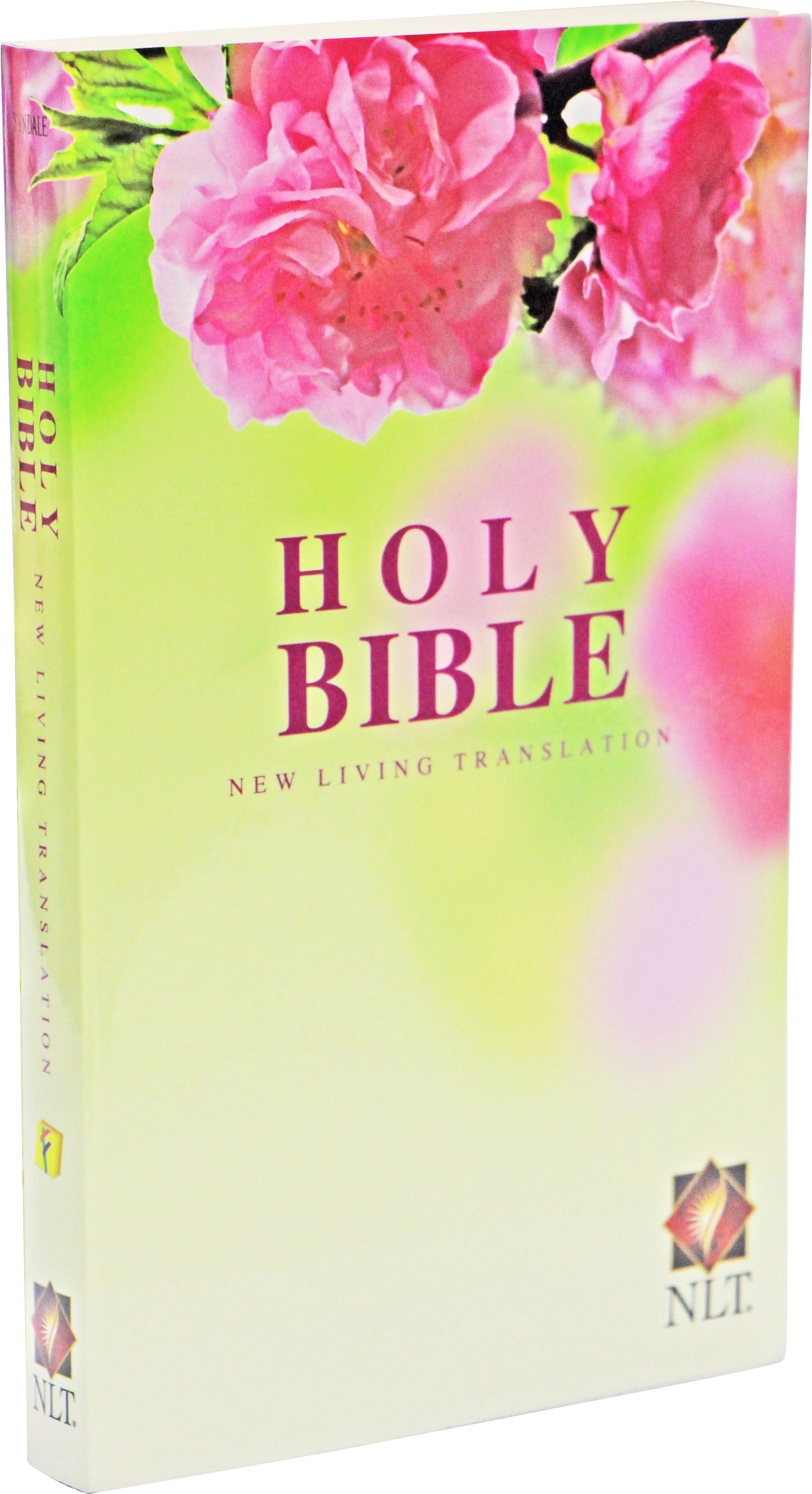 Pvc Fans Clipart (3456x5184), Png Download