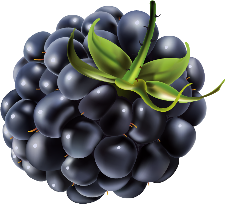 792 X 707 1 - Blackberry Clipart Png Transparent Png (792x707), Png Download