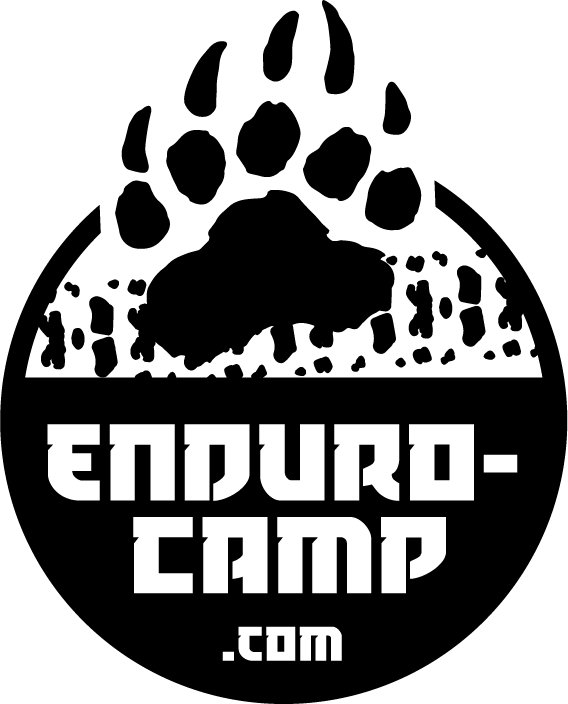 Bear Paw Print Outline - Bear Claw Clipart (568x704), Png Download