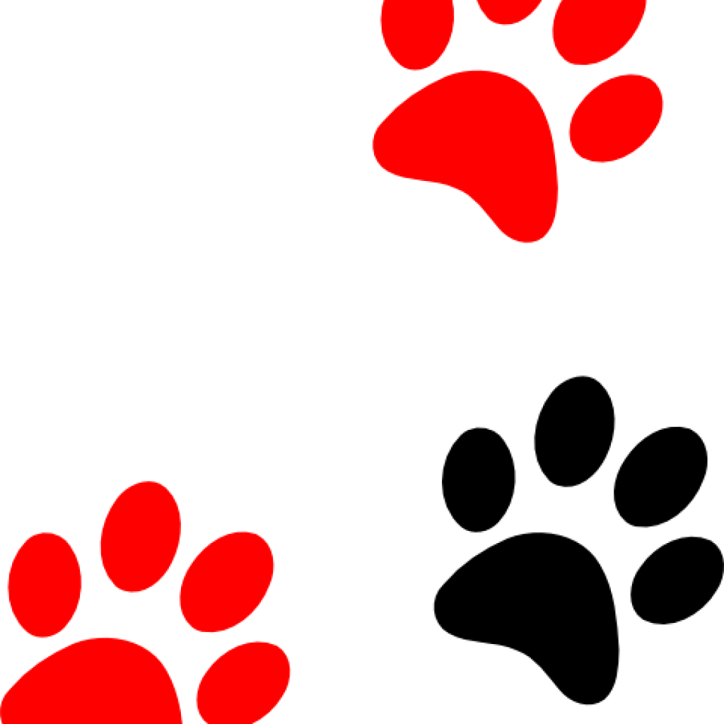Paw Print Clip Art Camping Clipart Grille Tricot Patte De Chat Png Download Large Size Png Image Pikpng Paw Print Clip Art Camping Clipart Grille Tricot Patte De Chat Png Download Large Size Png Image Pikpng