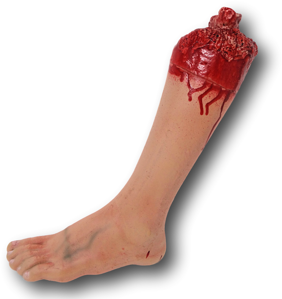 Bloody Severed Fake Latex Arm Arms Leg Legs Foot Feet - Severed Arm And Leg Clipart (1024x1024), Png Download