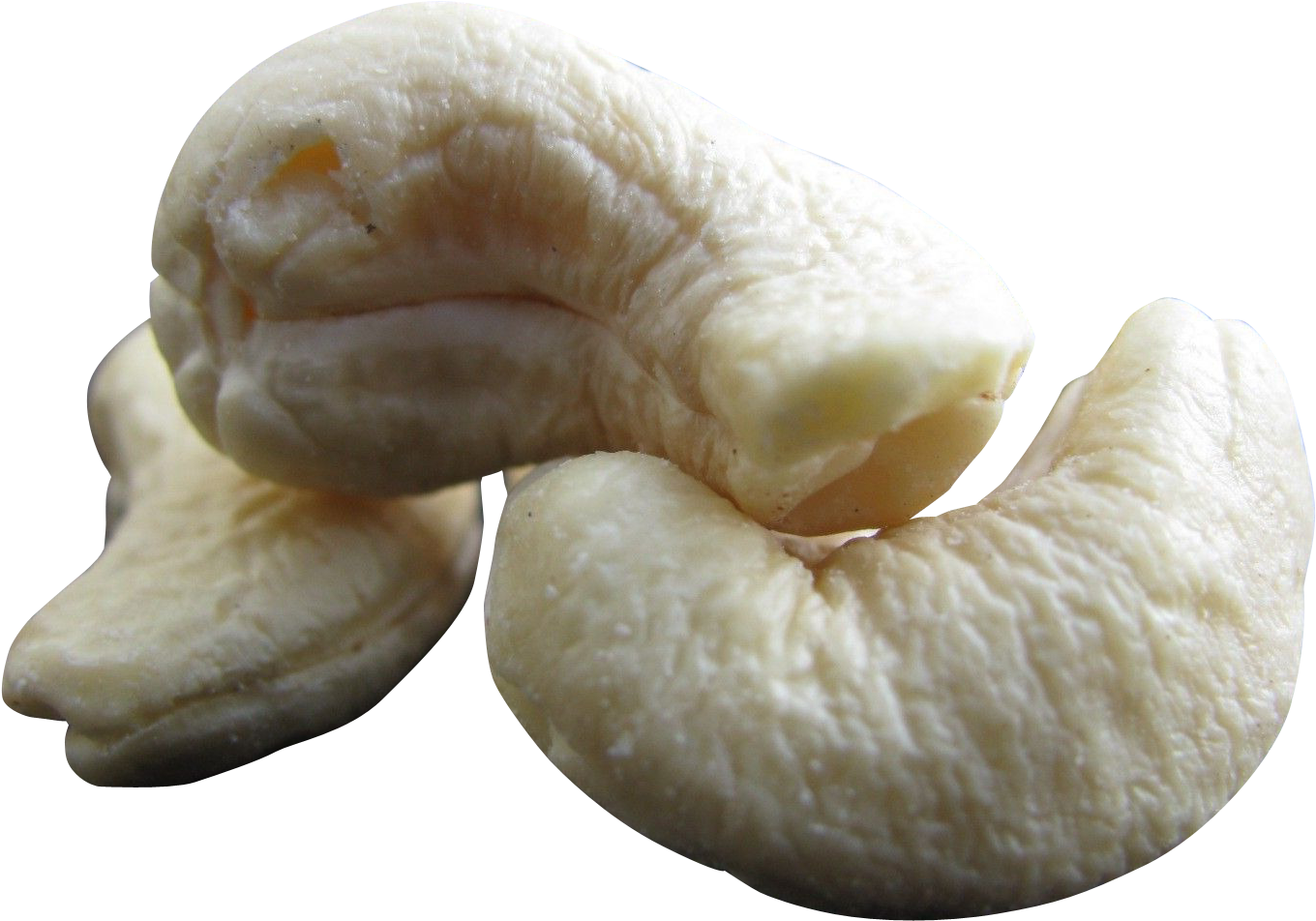 Download Cashew Nut Png Transparent Image - Agaricus Clipart (1492x1076), Png Download