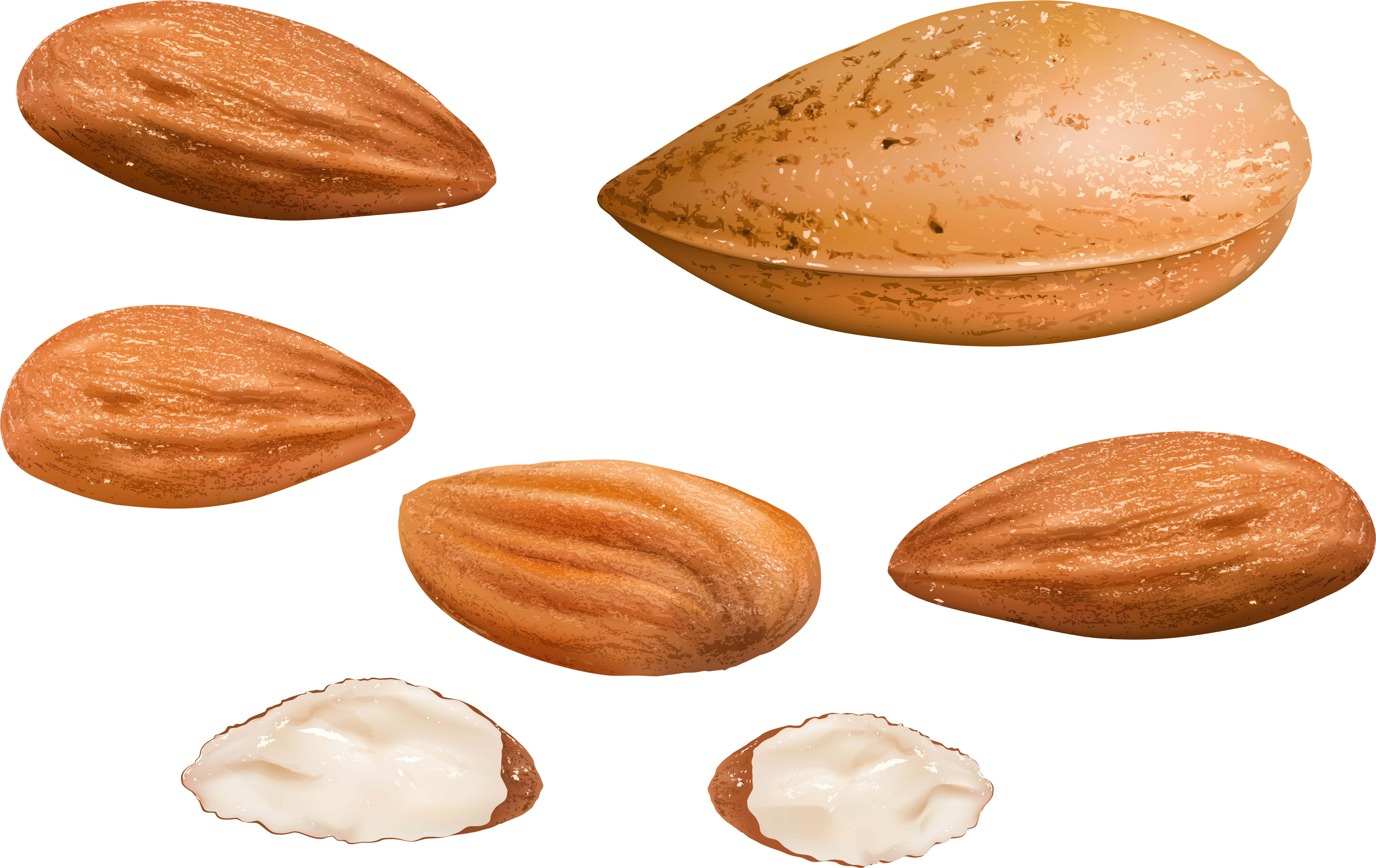 Almonds Png Clipart Image - Almond Transparent Png (7480x4943), Png Download