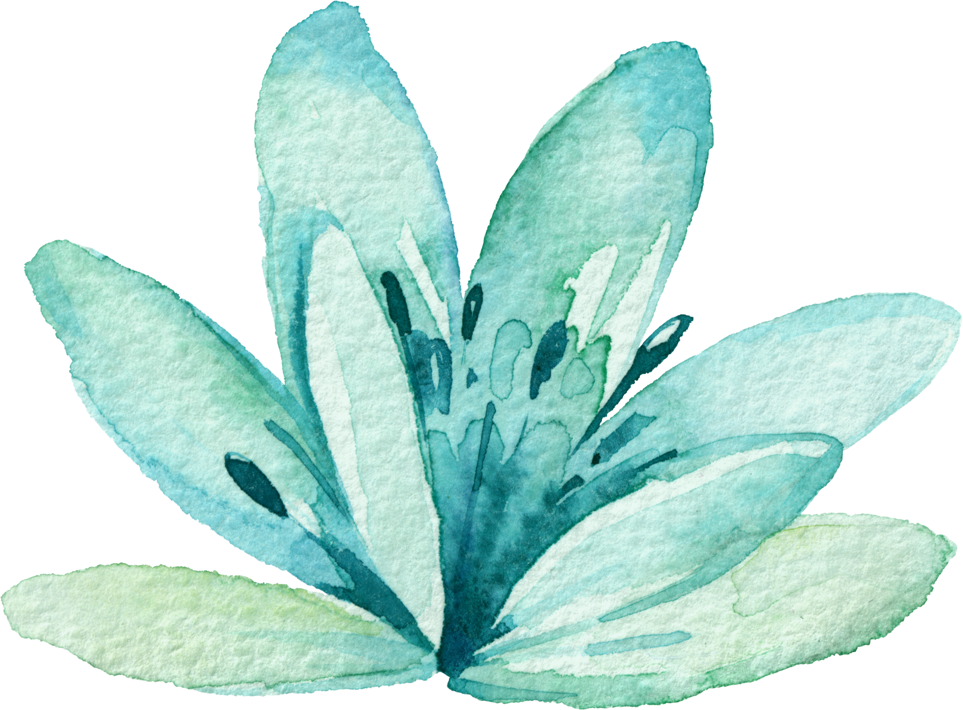 1894 X 1397 29 - Mint Watercolor Flower Png Clipart (1894x1397), Png Download