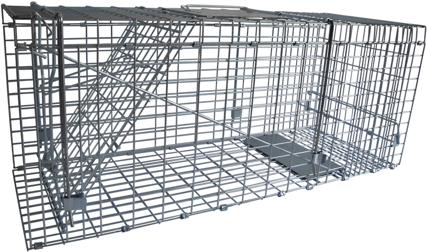 מלכודת חתולים Clipart (1000x750), Png Download