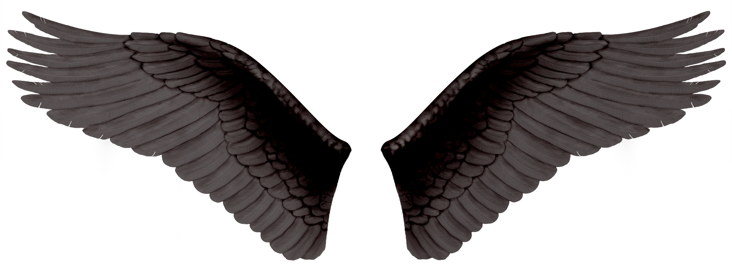 Black Wings - Png Картинки Для Фотошопа Clipart (2598x928), Png Download