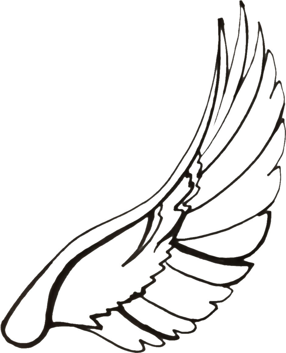 Vector Royalty Free Stock Drawn Dove Spread Drawing - Dove Wings Drawing Clipart (1059x1281), Png Download