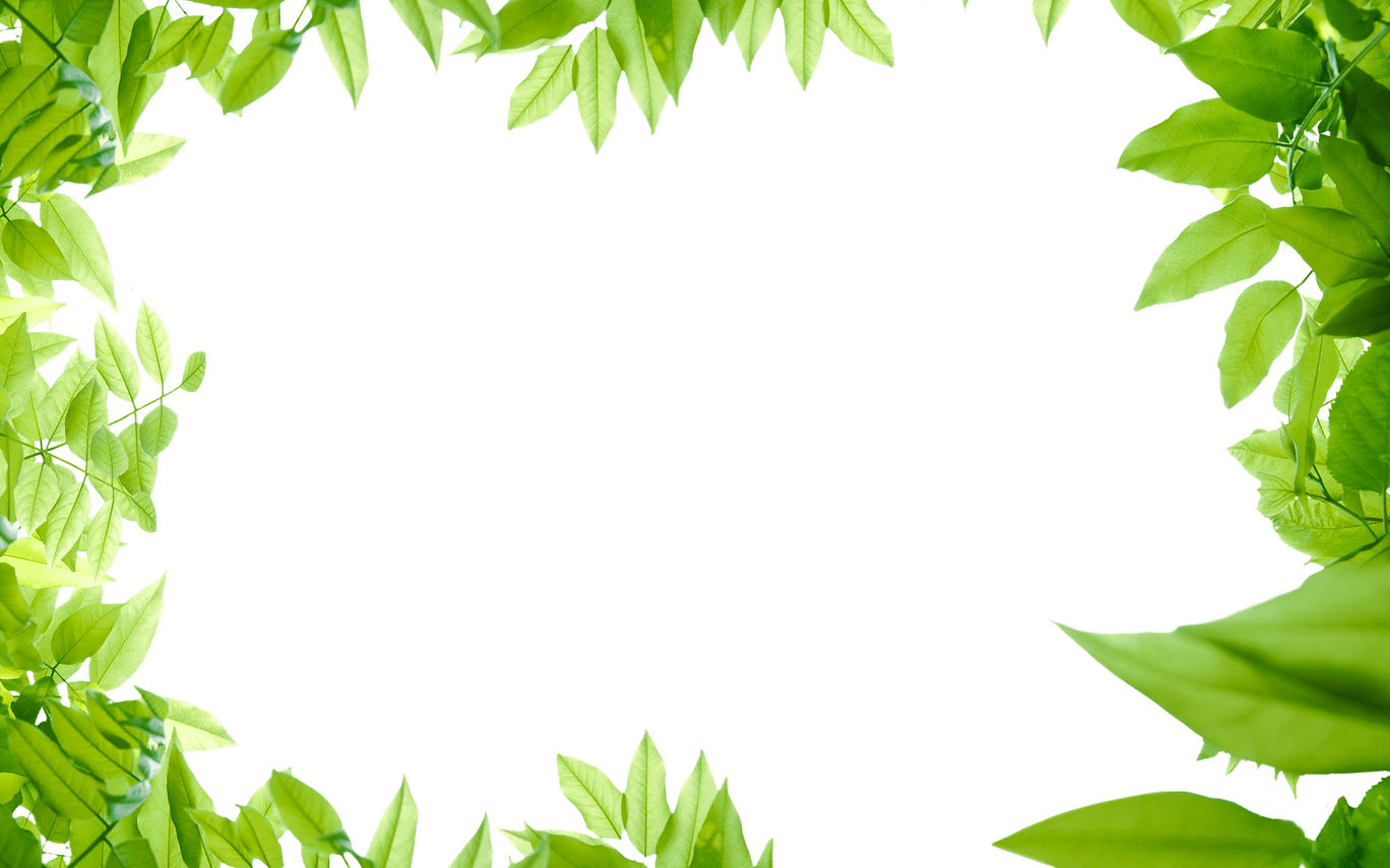 Collection Of Free Leaf Transparent Border Download - Transparent Green Leaves Png Clipart (1368x855), Png Download
