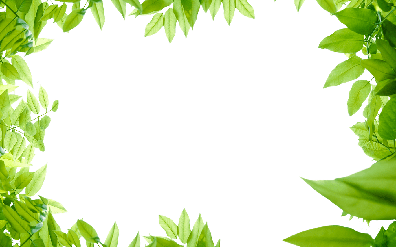 Download Collection Of Free Leaf Transparent Border Download