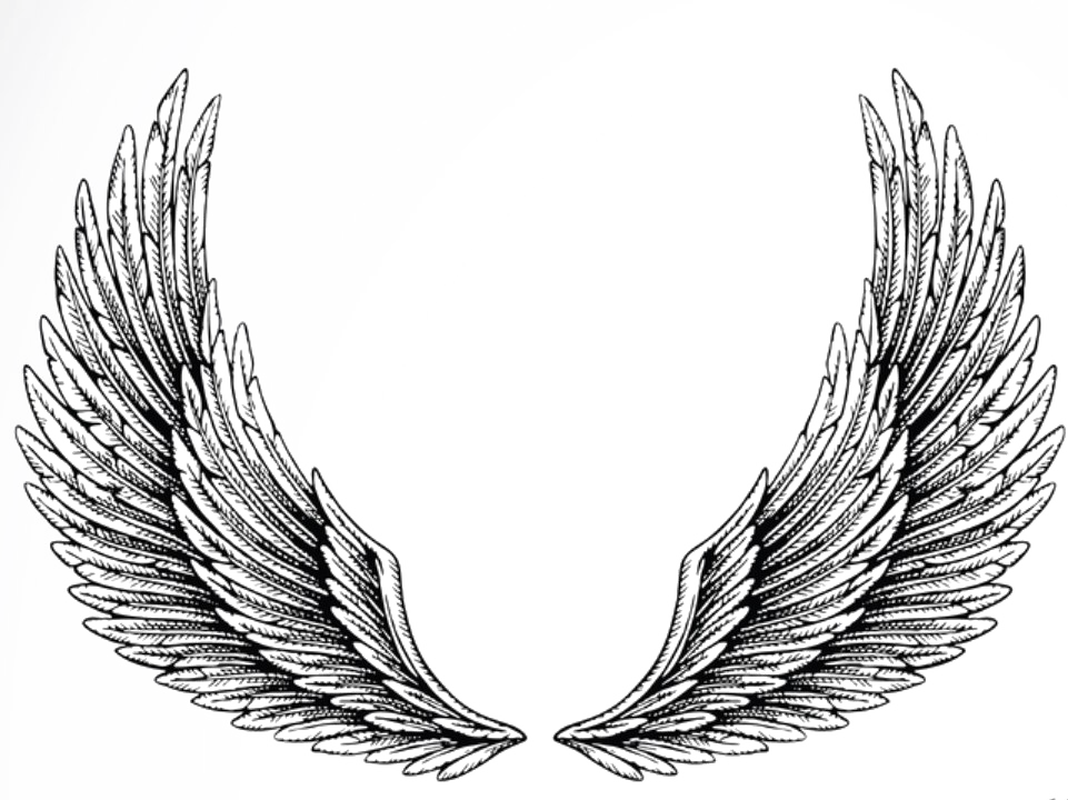 Wings Tattoo Png Download Image - Under Breast Wing Tattoo Clipart (961x720), Png Download