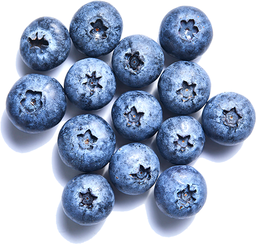 Blueberry-individuallg - Blueberry Clipart (600x588), Png Download