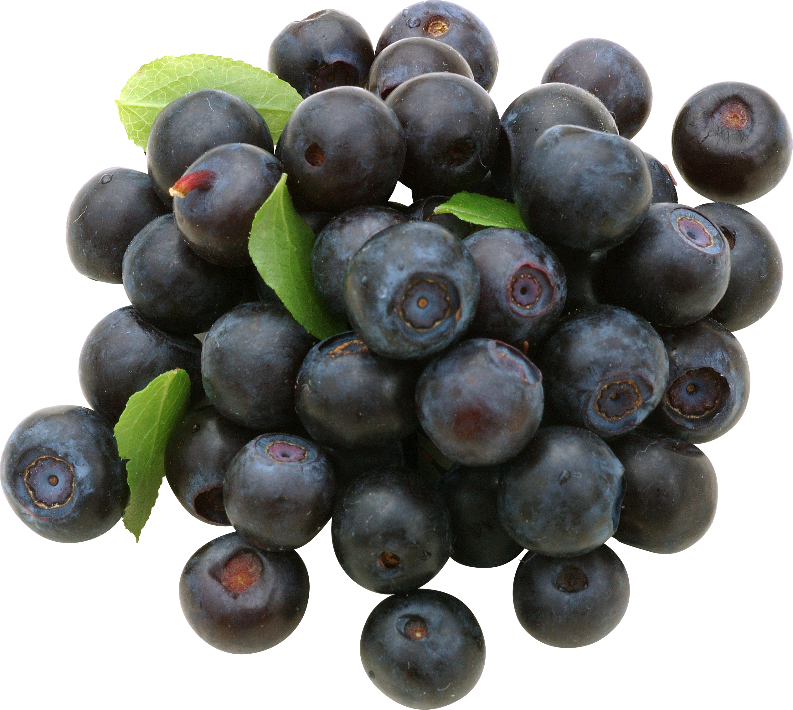 Free Png Blueberries Png Images Transparent - Blueberry Clipart (850x762), Png Download