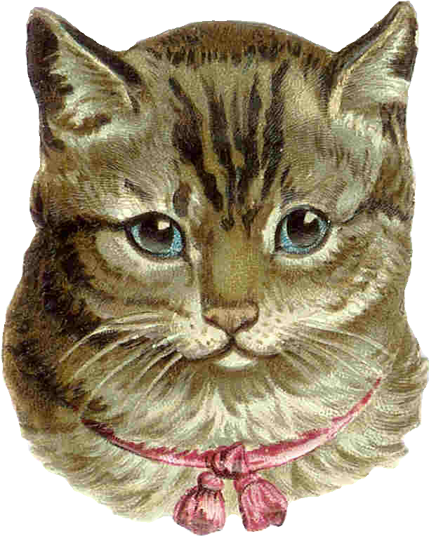 Cute Tabby Cats - Vintage Victorian Cat Clipart (909x1046), Png Download