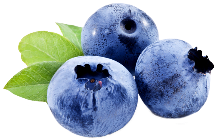 Blueberries For Skin , Png Download Clipart (723x467), Png Download