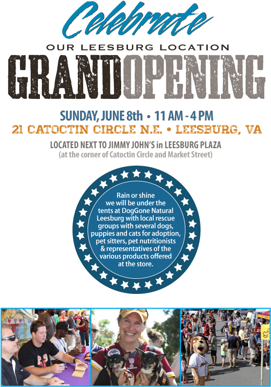He's Coming To Our Grand Opening Party In Leesburg - Flyer Clipart (557x803), Png Download