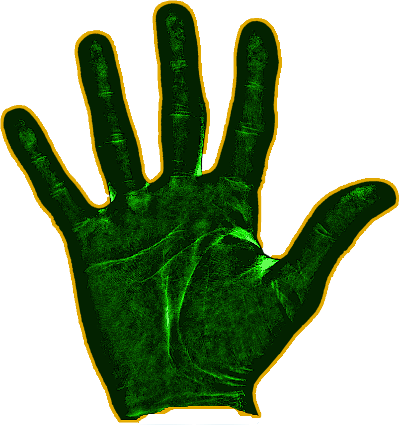 Andy's Fiver Friday - Illustration Clipart (1920x922), Png Download