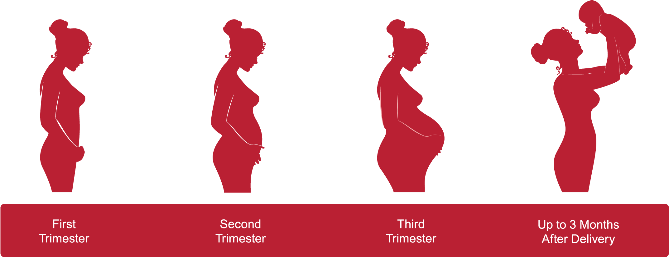 Pregnancy Timeline - Pregnancy Stages Icon Clipart (2280x914), Png Download