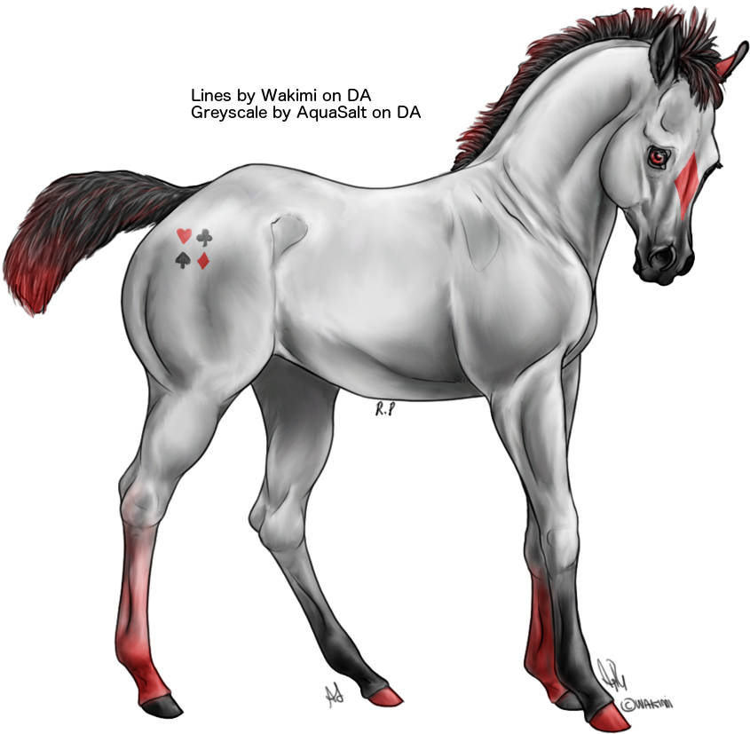 Solitaire Came To Us As A Foal, Growing An Alter-ego - Stallion Clipart (900x878), Png Download