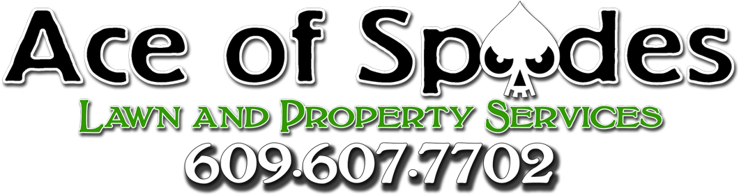 Company Clipart (1121x319), Png Download