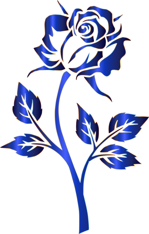 Blue Rose Silhouette Flower Drawing - Blue Rose Png Transparent Clipart (480x750), Png Download