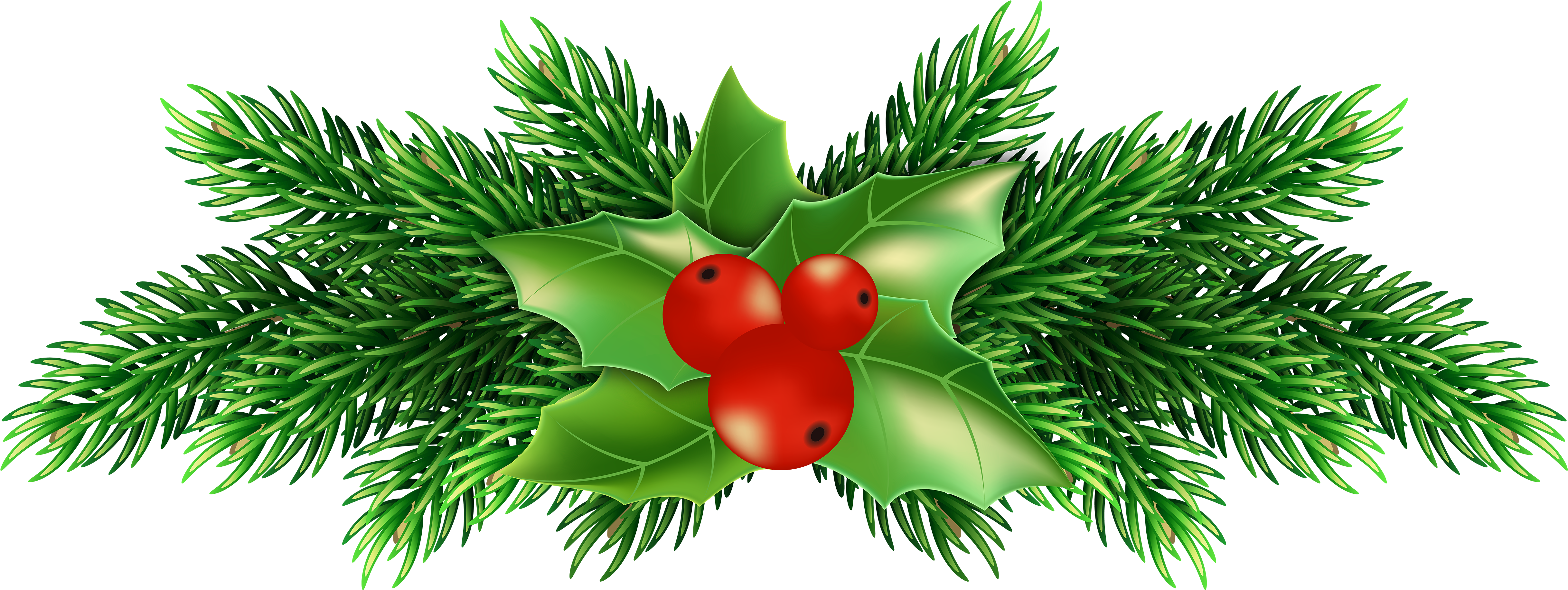 Christmas Holly Png Transparent Clipart (5000x1917), Png Download