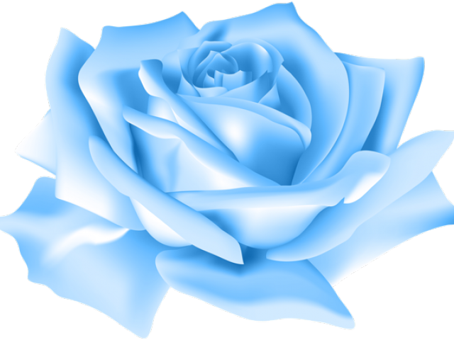 Blue Flower Clipart Blue Rose - Pink Rose Png Transparent (640x480), Png Download