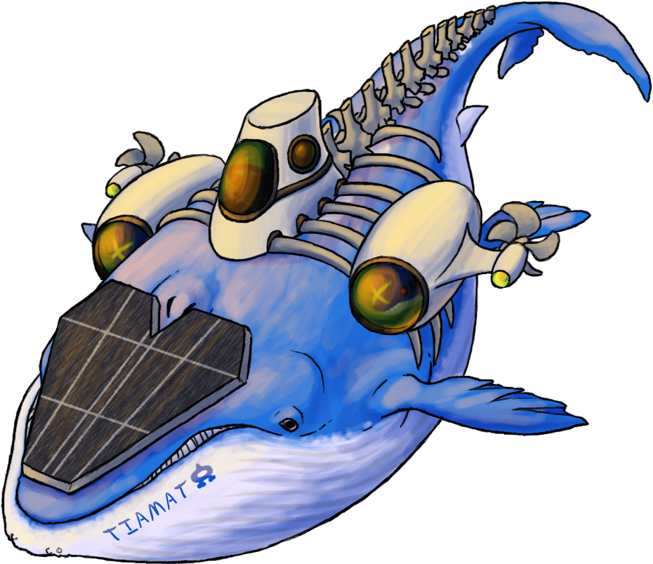 Wailord - Sharkpedo Evolution Clipart (1000x1000), Png Download