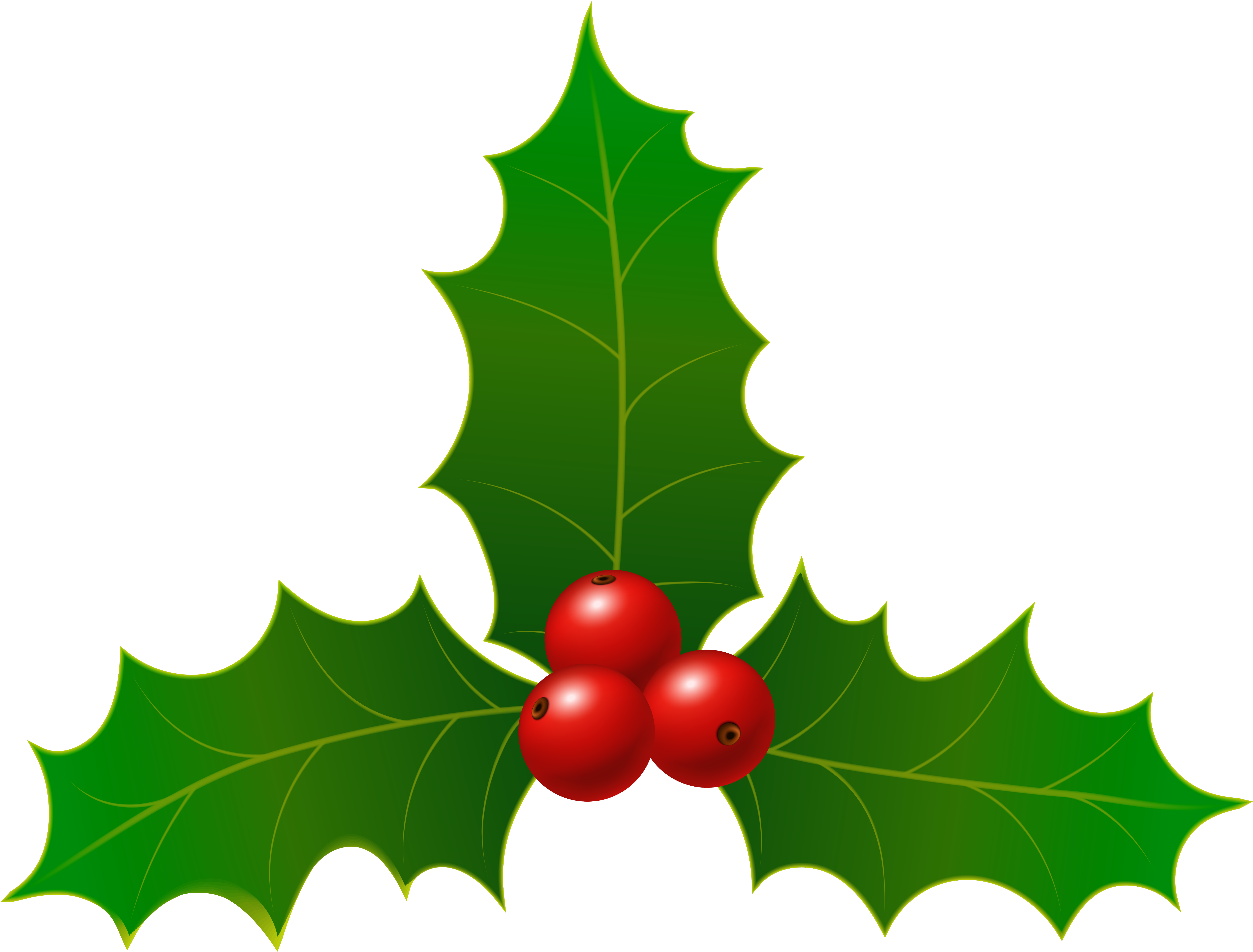 Free Png Christmas Holly Png Images Transparent - Illustration Clipart (850x651), Png Download