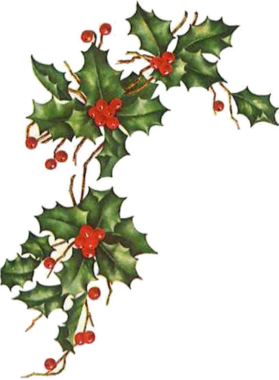 Days Of Gifts From Little Flowers - Christmas Ivy Clipart (571x818), Png Download