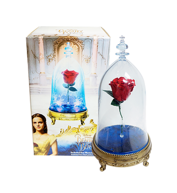 Beauty And The Beast Enchanted Rose Kopen , Png Download Clipart (570x624), Png Download