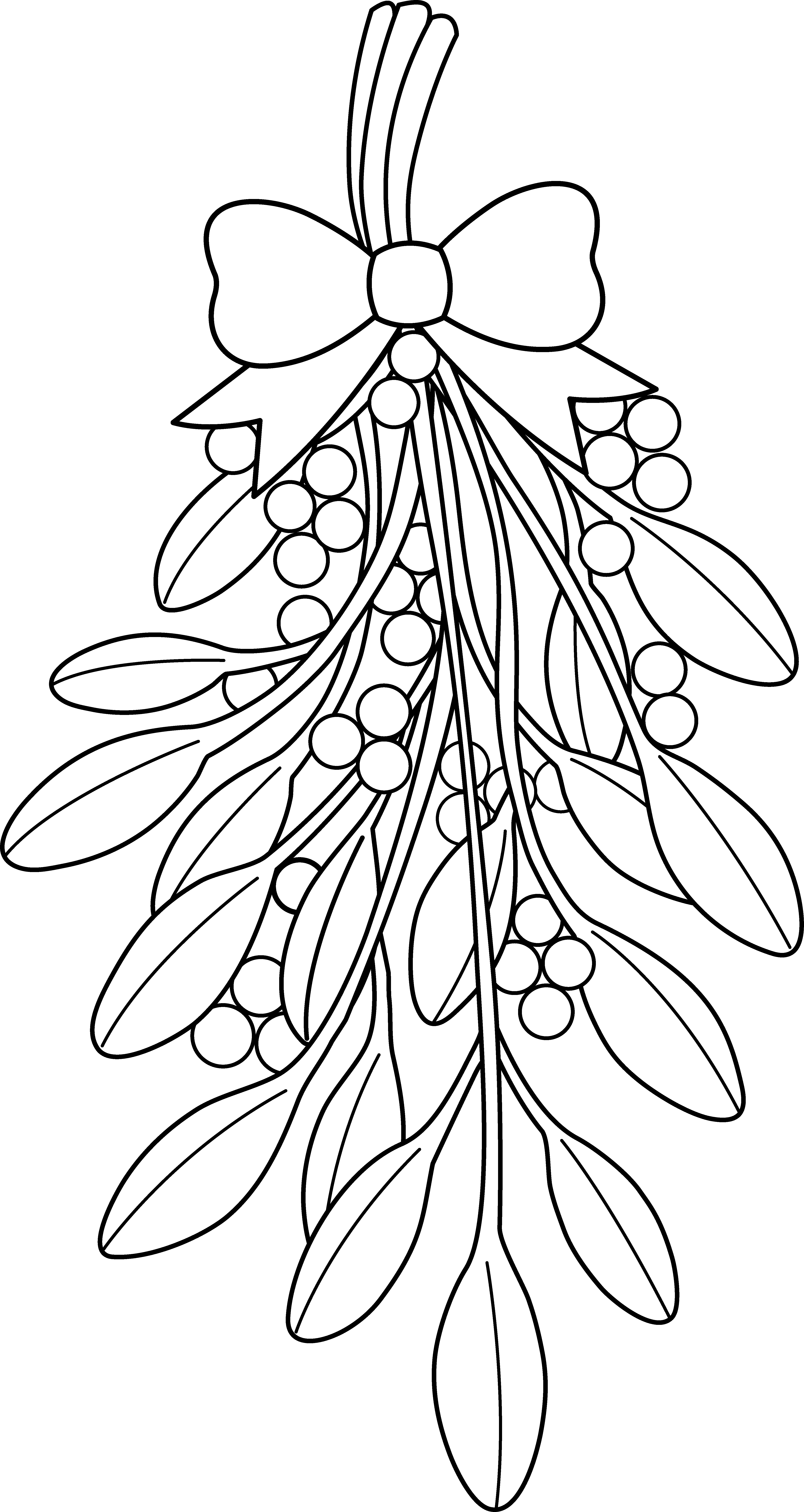 Christmas Holly Coloring Page 2 With Pages Mistletoe - Christmas Mistletoe Coloring Pages Clipart (4415x8305), Png Download