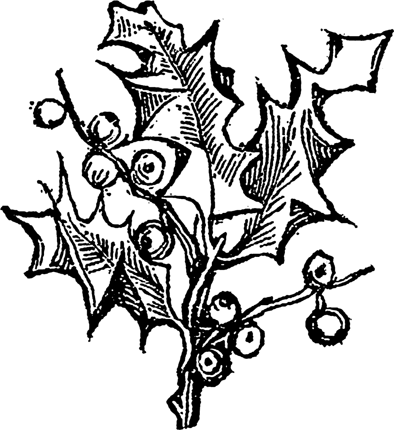 Digital Botanical Stamp Downloads - Illustration Clipart (1466x1600), Png Download