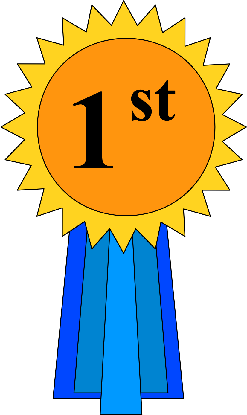 1st Place Ribbon - 1st Place Award Ribbons Clipart (480x800), Png Download