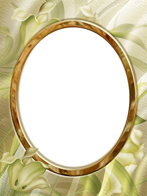 Free Png Best Stock Photos Flowers Pastel Transparent - 66 Jahren Da Fängt Das Leben Clipart (480x640), Png Download