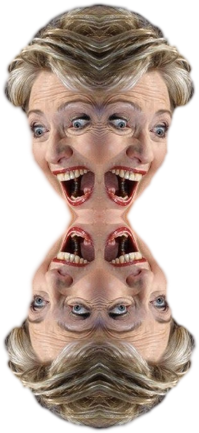 Personfour Face Hillary Clinton - Your Little Dog Too Clipart (500x900), Png Download