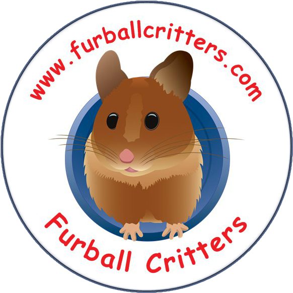 Furball Critters Hamsters Rats Chinchillas Santa Cruz - Rat Clipart (650x650), Png Download