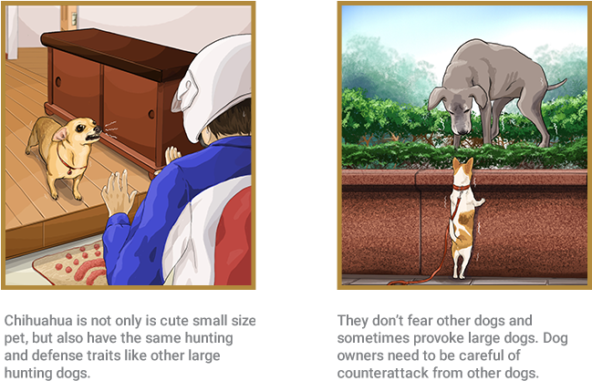 Chihuahua - Indian Elephant Clipart (687x475), Png Download