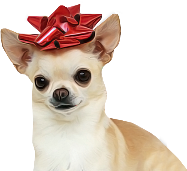 Chihuahua Dog For Sale Transparent Background - Happy New Year 2019 Chihuahua Clipart (648x606), Png Download