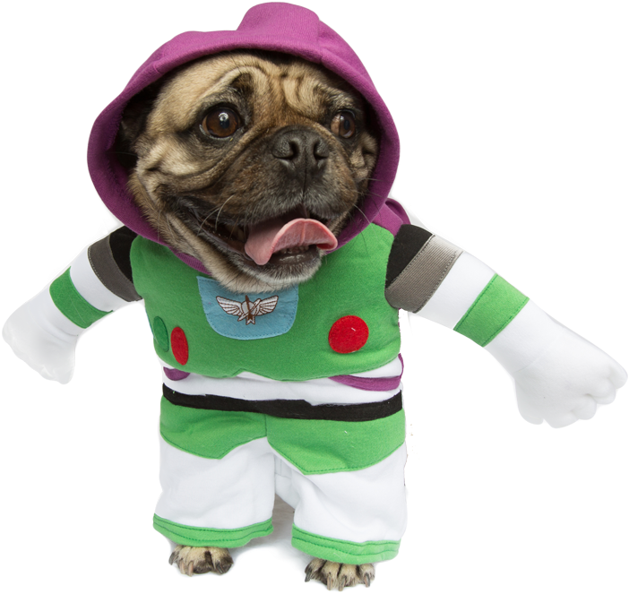 Buy Dog Costumes For Halloween Buzz Lightyear Toy Story - Buzz Lightyear Costume Dog Clipart (800x800), Png Download